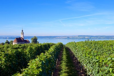 Markgraeflich Badisches Weinhaus